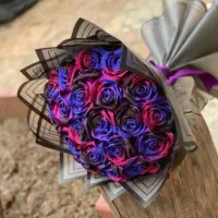 متخصص راه اومدن با جیب شمو سفارشات روزدخترشروع شد