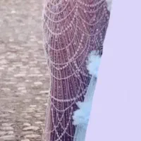 لباس   مجلسی پنل مرواریدی ۴۴ ، ۴۶