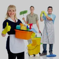 خدمات نظافت