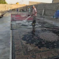 قالیشویی کوروش|خدمات نظافت|نسیم‌شهر, |دیوار