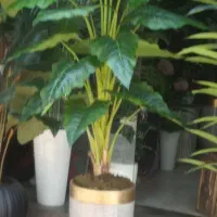 سه تنه درخچه|گل مصنوعی|تهران, مشیریه|دیوار