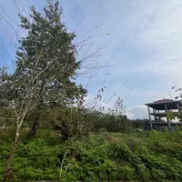 زمین با پروانه ویلایی