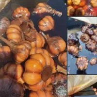 سیر ترشی و انواع زیتون