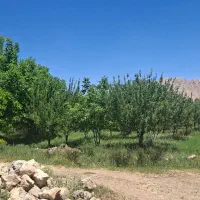 فروش باغ (سیب و گردو) در منطقه ای خوش آب و هوا