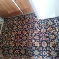 تعدادی کناره مناسب مسکن مهرخیلی تمیزونو