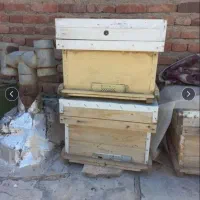 کندو زنبور عسل با قاب|حیوانات مزرعه|الوند, |دیوار