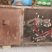 گنجه کبوتر و سگ|لوازم جانبی حیوانات|شیراز, شهرک صنعتی شیراز|دیوار