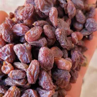 کشمش آفتابی عمده خرده