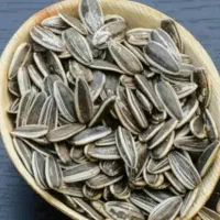 تخمه افتابگردان