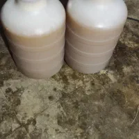 عسل طبیعی کنار