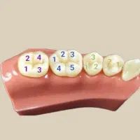 استخدام دستیار دندان پزشک