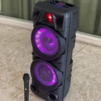 اسپیکر|سیستم صوتی خانگی|زیرآب, |دیوار