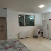 مجتمع امام حسن مجتبی