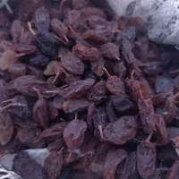 کشمش بدون هسته و بدون تیزاب