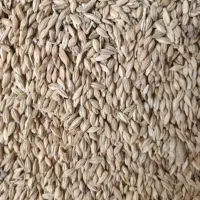 جو بهمن کوتاه بذری کیلو48