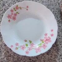 آکروپال مدل صدفی