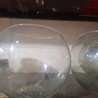 ظرف پلاستیکی و شیشه ای به قیمت|ظروف نگهدارنده، پلاستیکی، یک‌بارمصرف|بروجرد, |دیوار