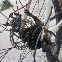 دوچرخه|دوچرخه، اسکیت، اسکوتر|هادی شهر, |دیوار