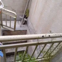 خدمات نظافت