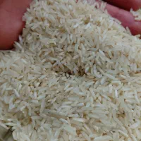 برنج ضیغمی|خوردنی و آشامیدنی|سیروان, |دیوار