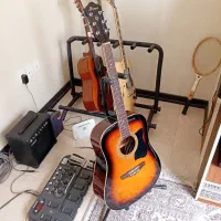 گیتار اکوستیک  Ibanez V50NJP VS