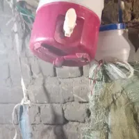 ۳ عدد کلمن
