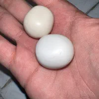 سنگ الماس اسیاب