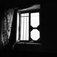 واحد-همکف