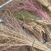 جارو محلی مال امسال بلند درجه یک