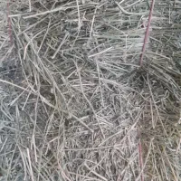 یونجه چرداول|حیوانات مزرعه|زاگرس, |دیوار