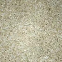 برنج چمپا چیتاب و صالحون|خوردنی و آشامیدنی|یاسوج, |دیوار