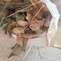 هیزم