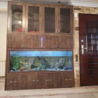 اکواریوم ساخت شرکت ماهیران