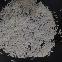 برنج هاشمی درجه یک ولاشه