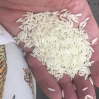 فروش ویژه برنج اقساطی|خوردنی و آشامیدنی|کرج, کرج نو|دیوار