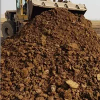 کودگاوی