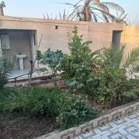 ملک بزرگ تجاری مسکونی