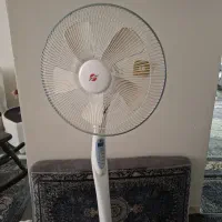 پنکه ایستاده