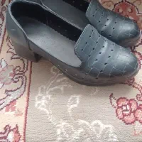 کفش وکیف|کیف، کفش، کمربند|میاندوآب, |دیوار