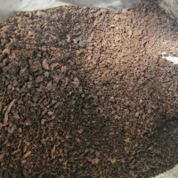 کودگاوی خشک بدون خاک اره|لوازم جانبی حیوانات|ماسال, |دیوار