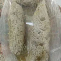 فروش عسل کوهی درجه یک