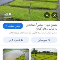 جهت همکاری زمین شالی دهقانی اطراف گرگان