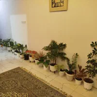 ویلا اجارای ساحلی نوسازتمیز  فرح آباد