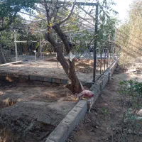 2300-متر-باغ-چهاردیواری-سند-تک-برگ