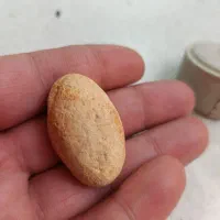 مهره زردچوبه سرخ کن مرجان لامپی  انگشتر قناری