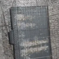 قفس پرنده