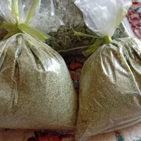 پونه محلی|خوردنی و آشامیدنی|شیراز, شهرک مطهری|دیوار