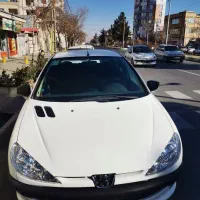 206sd مدل 95|خودرو سواری و وانت|اراک, |دیوار