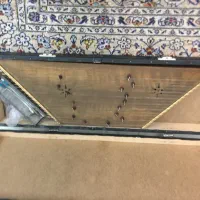 سنتور|سازهای سنتی|تهران, هروی|دیوار