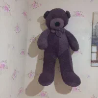 خرس بزرگ ترک